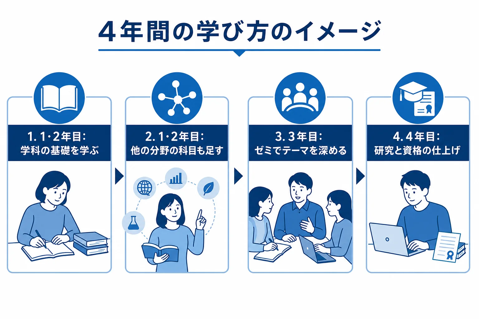 文学部で学科の基礎から3年次のゼミ、4年次の仕上げまで進む流れを示した図解